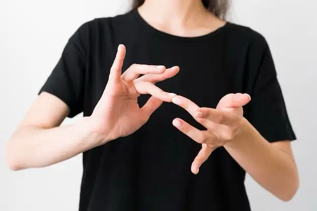 Acessibilidade garantida: eleições com libras e audiodescrição