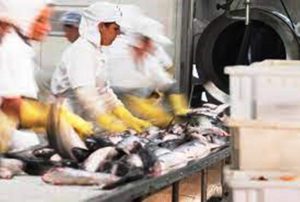 SC aprova R$ 1 bi em investimentos para criar mais de 600 empregos