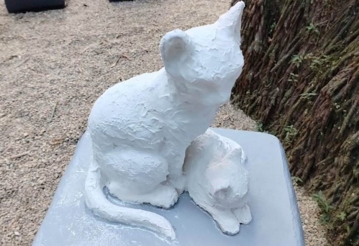 Melhorias no Cemitério de Gatos garantem passeio mais seguro