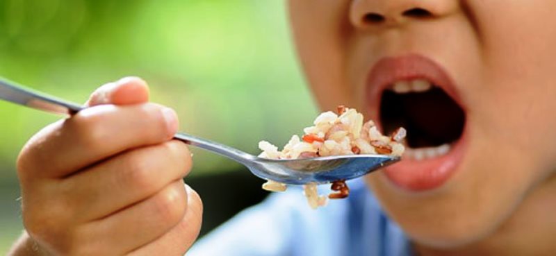 Preço do arroz cai mais de 30% em SC após safra recorde