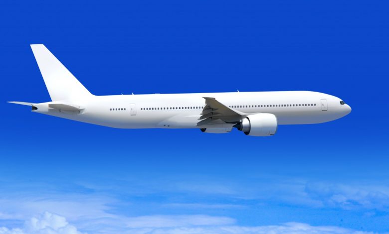 Governo anuncia mudanças no transporte de pets em aviões