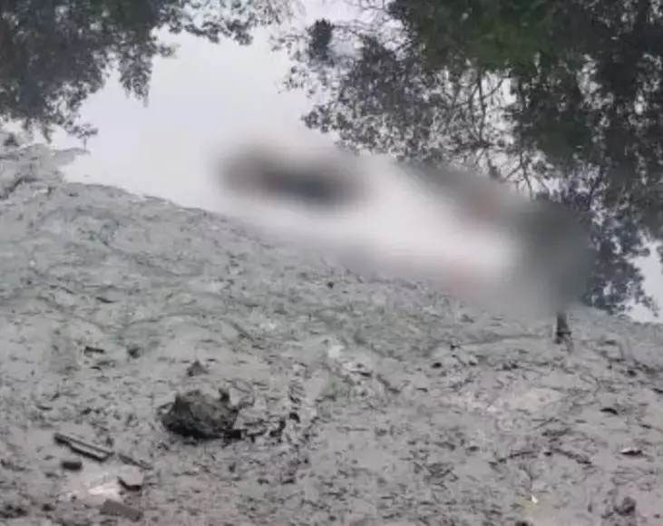 Corpo é encontrado em área de mangue em Joinville