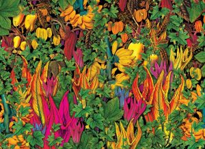 5ª Temporada de Exposições do MAB começa nesta quinta; entrada é franca