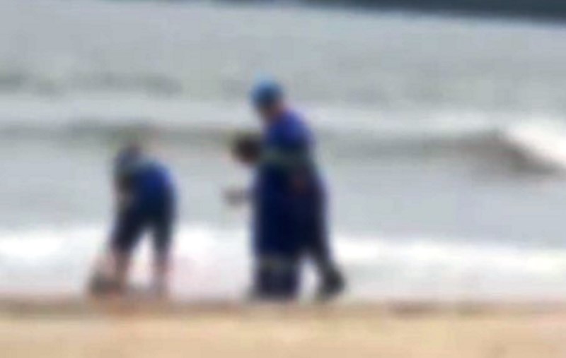 Vídeo: homem mata arraia a golpes de enxada em praia de SC