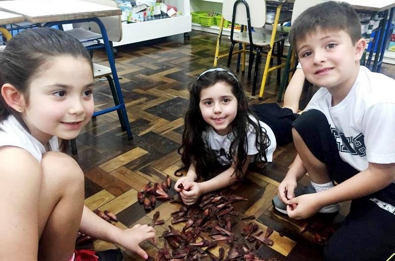 Alesc aprova lei que garante pinhão na alimentação escolar
