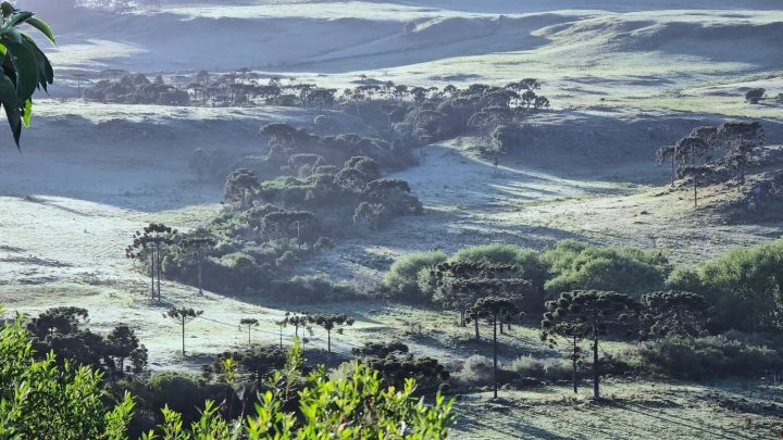 SC pode registrar a primeira neve de 2025 nesta semana