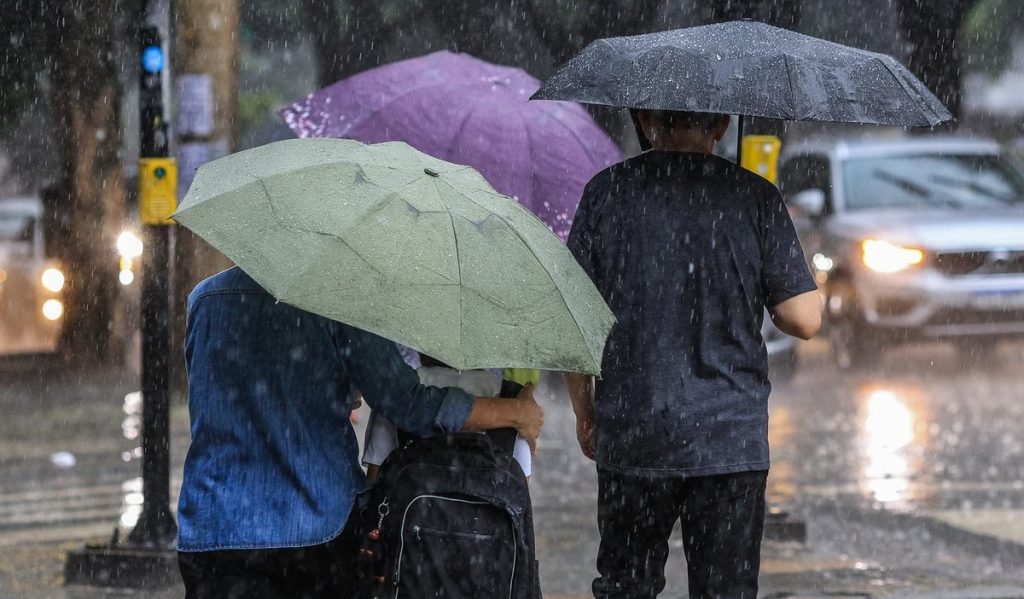 Chuva em SC: confira previsão para todos os dias da semana