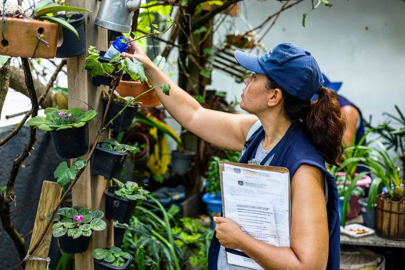 Dia D do combate à dengue: Saúde recomenda ações às prefeituras de SC