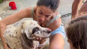 Cão de Anitta desaparece sob mansão e cantora aciona bombeiros