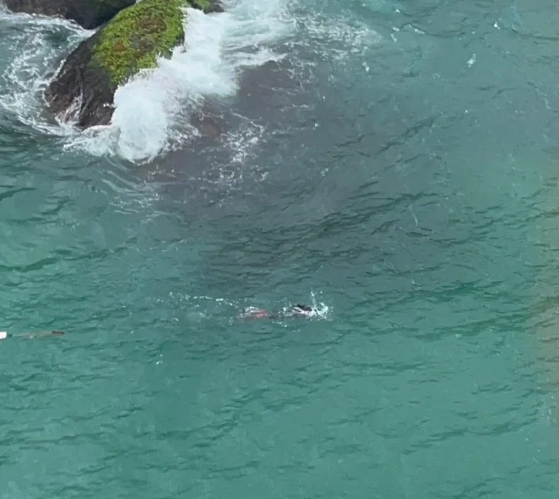 Vídeo: bombeiros resgatam mergulhador na Ilha das Aranhas