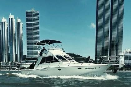 SC não vai criar cobrança de IPVA para barcos e aviões; entenda o motivo