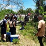 A dura verdade sobre a ocupação da área de matagal improdutivo na SC-401
