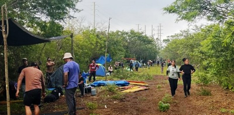 Área verde na SC-401 é ocupada por sem-terras pela 6ª vez em Florianópolis