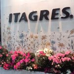 Justiça de SC decreta falência do Grupo Itagres após 8 anos de recuperação judicial