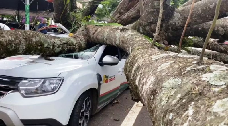 Árvore despenca sobre carro de Prefeitura de SC no Paraná