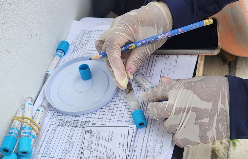 Itajaí decreta Situação de Emergência por conta da dengue