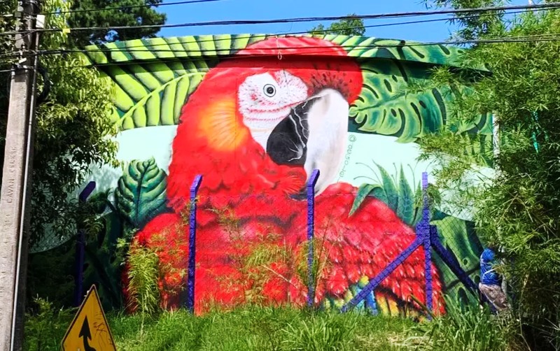 Reservatórios da Casan viram tela para arte do grafite em Florianópolis