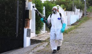 Florianópolis: fumacê contra a dengue combate o mosquito em 2 bairros nesta sexta