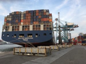 Após federalização, Porto de Itajaí registra aumento em janeiro