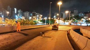 Obras no Elevado Dias Velho entram no terceiro dia em Florianópolis