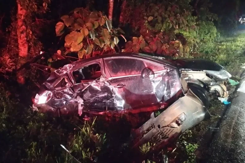 Acidente da BR-282 deixa duas crianças mortas no Oeste de SC