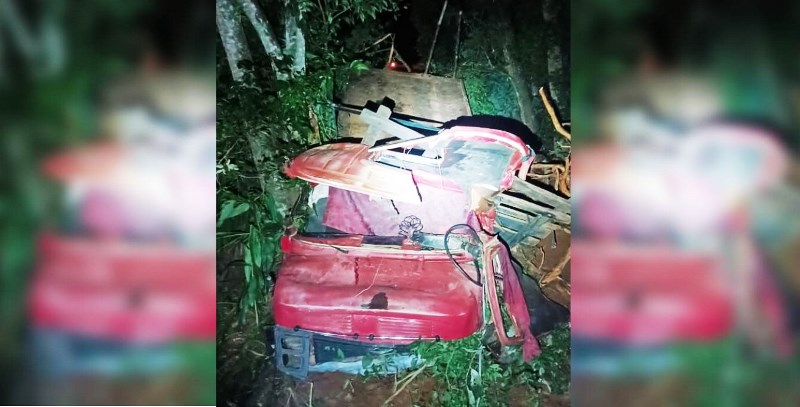 Acidente com caminhão carregado com madeira deixa dois mortos