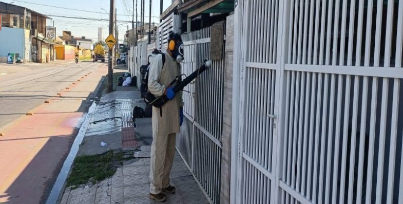 Itajaí registra casos de dengue tipo 3 e intensifica combate ao mosquito