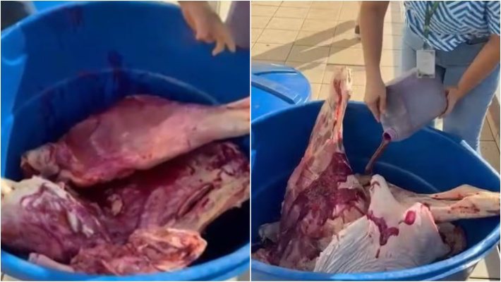 Vídeo: carnes estragadas eram disfarçadas com corante para venda