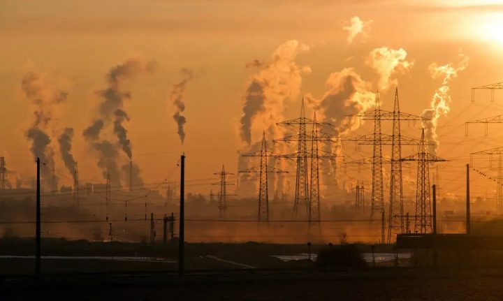 ONU confirma que 2024 foi o ano mais quente em 175 anos