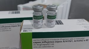 Vacinação contra gripe inicia em abril; municípios de SC recebem doses