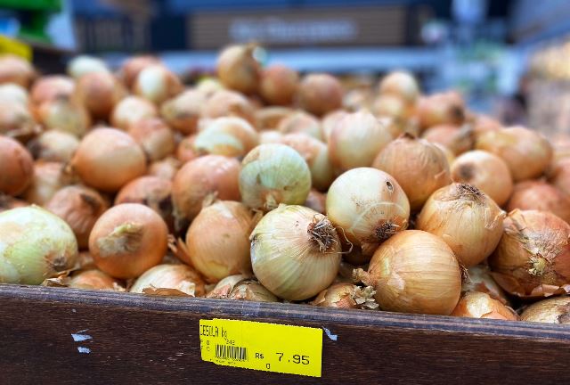 Cebola catarinense supre mercado nacional após crise no Nordeste e Paraná