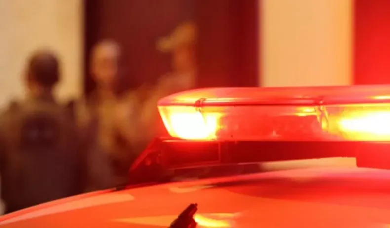 Criminosos armados invadem casa, atiram em animais e roubam veículo