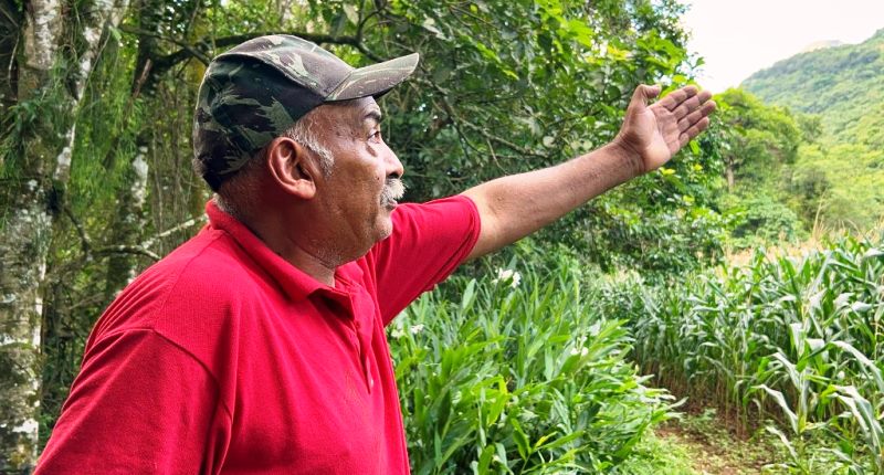 Quilombolas em SC: herança cultural é preservada com o ecoturismo