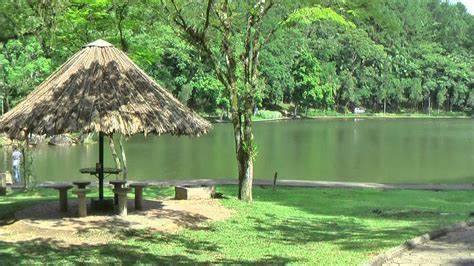 Parque Malwee terá programação especial neste sábado; confira