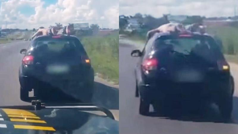 Homem bêbado é flagrado viajando no teto de carro a mais de 100km por hora