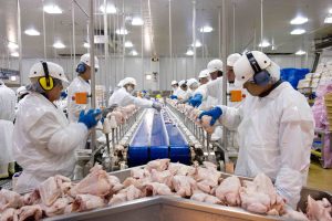 Brasil bate recorde na exportação de frango
