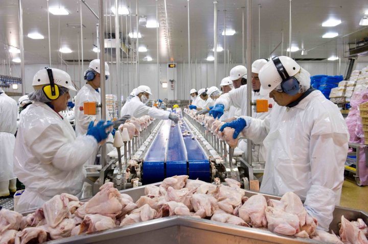 Brasil bate recorde na exportação de frango