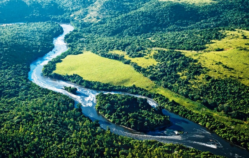 PGR questiona lei de SC que enfraquece proteção de áreas da Mata Atlântica