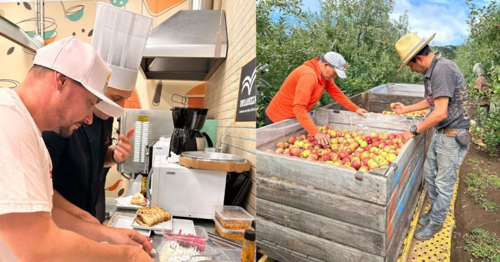 Festival Gastronômico inova com ingredientes de Indicação Geográfica