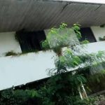 Mansão de Hebe de R$ 8 milhões entra em ruína e segue abandonada