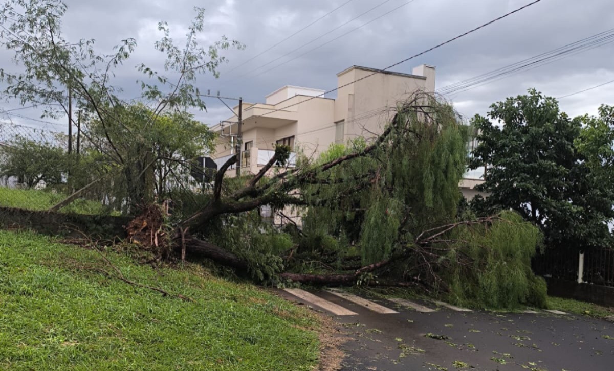 Cidade de SC é atingida por temporal; mais de 100 casas foram afetadas