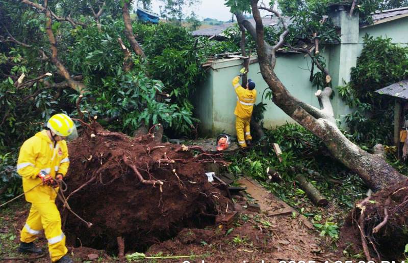 Temporal provoca duas mortes e queda de energia no Oeste de SC