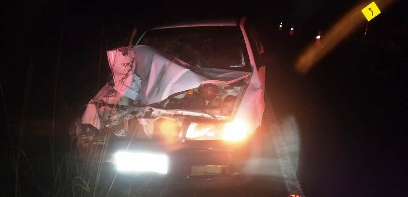 Carro atropela boi em rodovia estadual; avô e netos ficam feridos