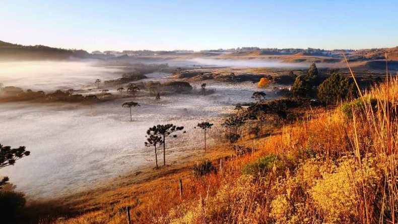 Frio intenso já tem data para perder força