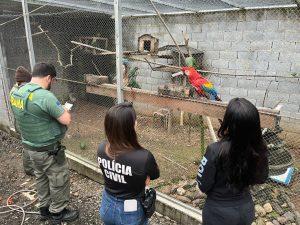 Operação resgata animais silvestres de cativeiro ilegal em SC