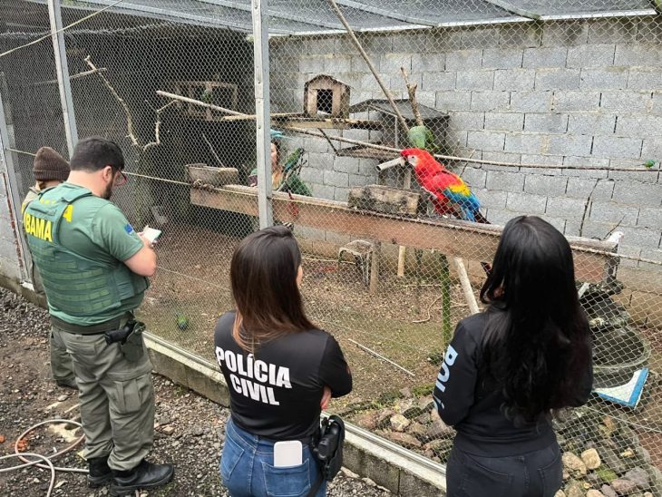 Operação resgata animais silvestres de cativeiro ilegal em SC