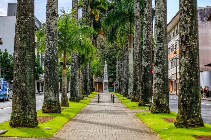 Blumenau alerta para diversas mudanças no trânsito; veja quais