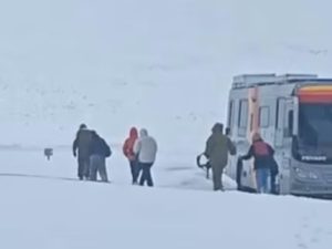 Brasileiros são resgatados após ficarem presos na neve por 48 horas