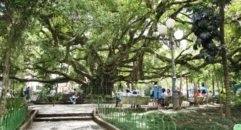 Homem é condenado por homicídio em praça famosa de SC
