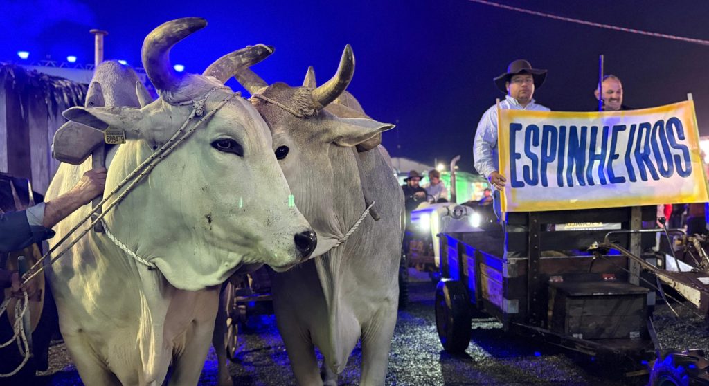 Desfile marca abertura da Festa Nacional do Colono em Itajaí